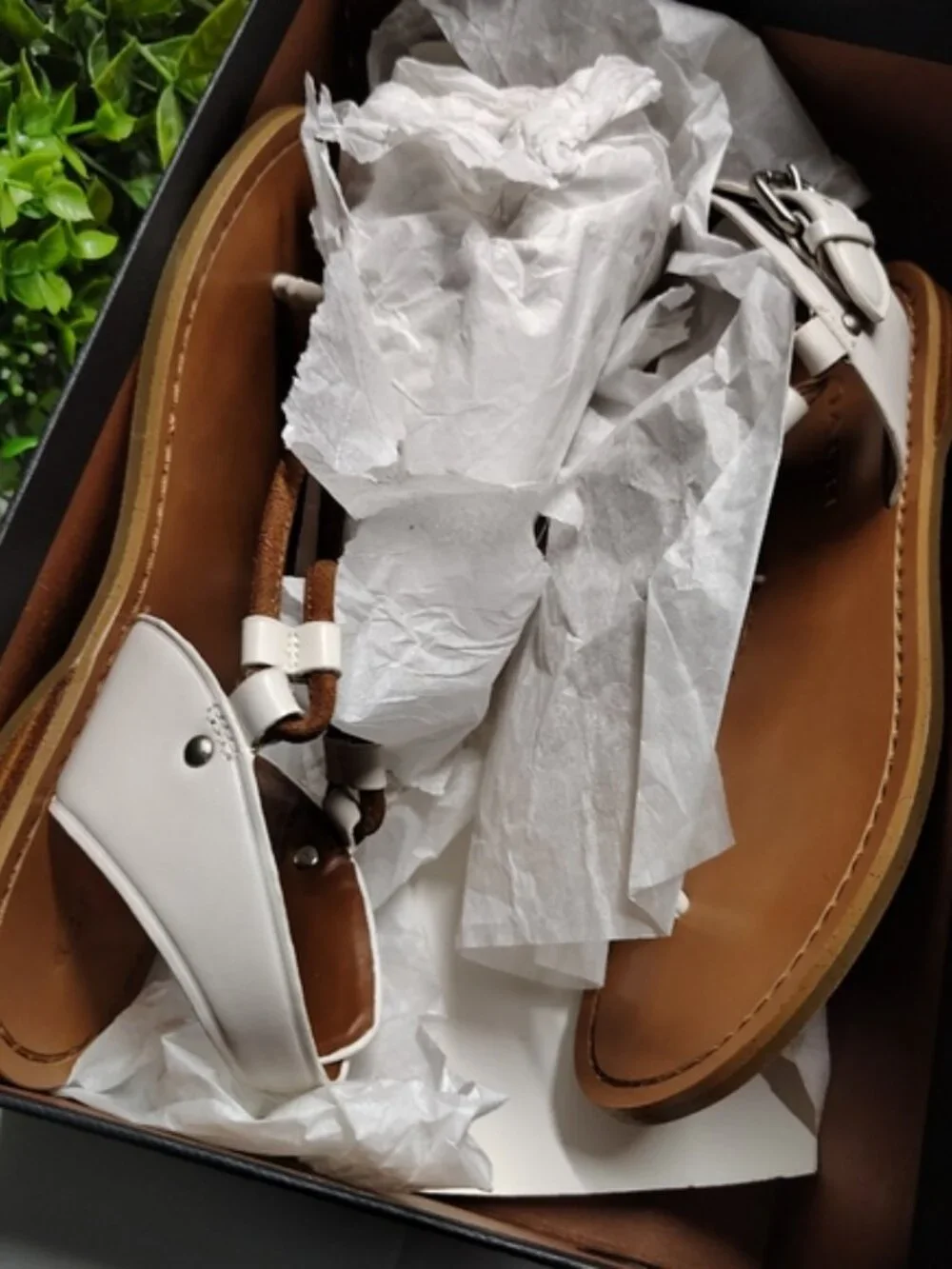 Coach Clarkson Thong Sandals Chalk Saddle Leather Ankle Strap Size 5M NWT